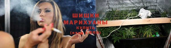 шишки Алексеевка