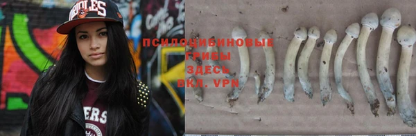 героин Алексин